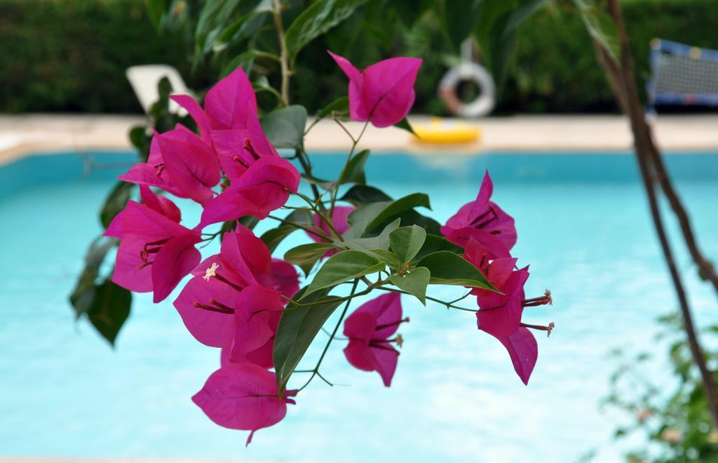 Tuncer Garden Hotel Kemer Ngoại thất bức ảnh